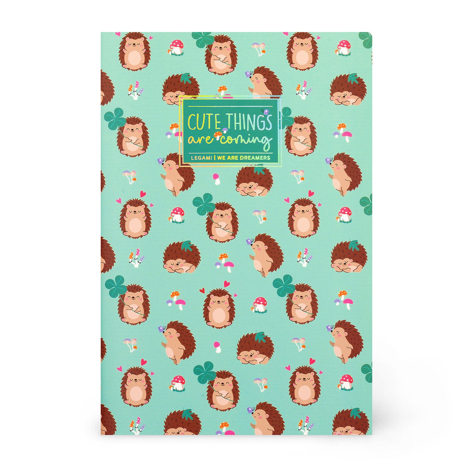 Caderno Com Linha Médio - Ouriço