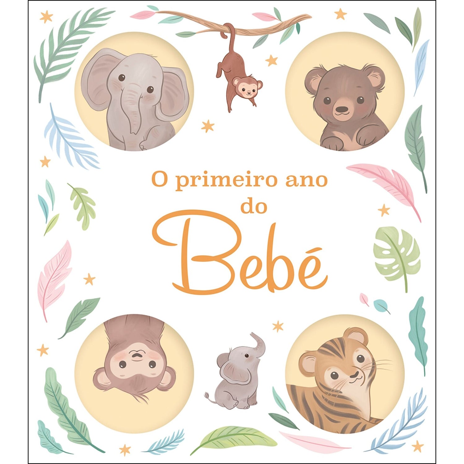 O Primeiro Ano do Bebé