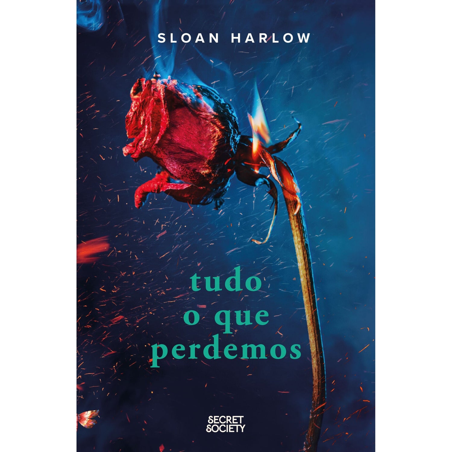 Tudo o que Perdemos de Sloan Harlow