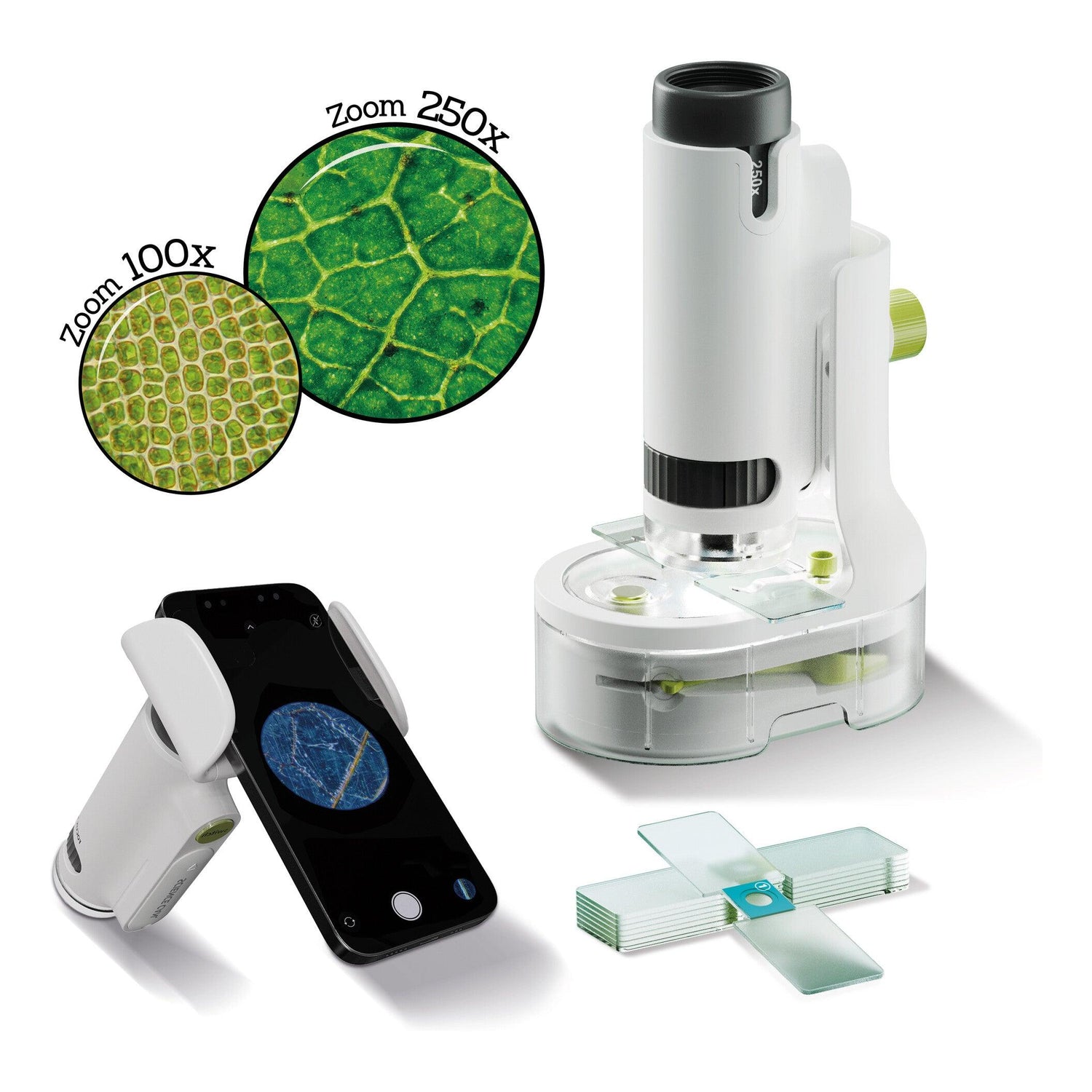 Canal Toys - Microscópio Portátil