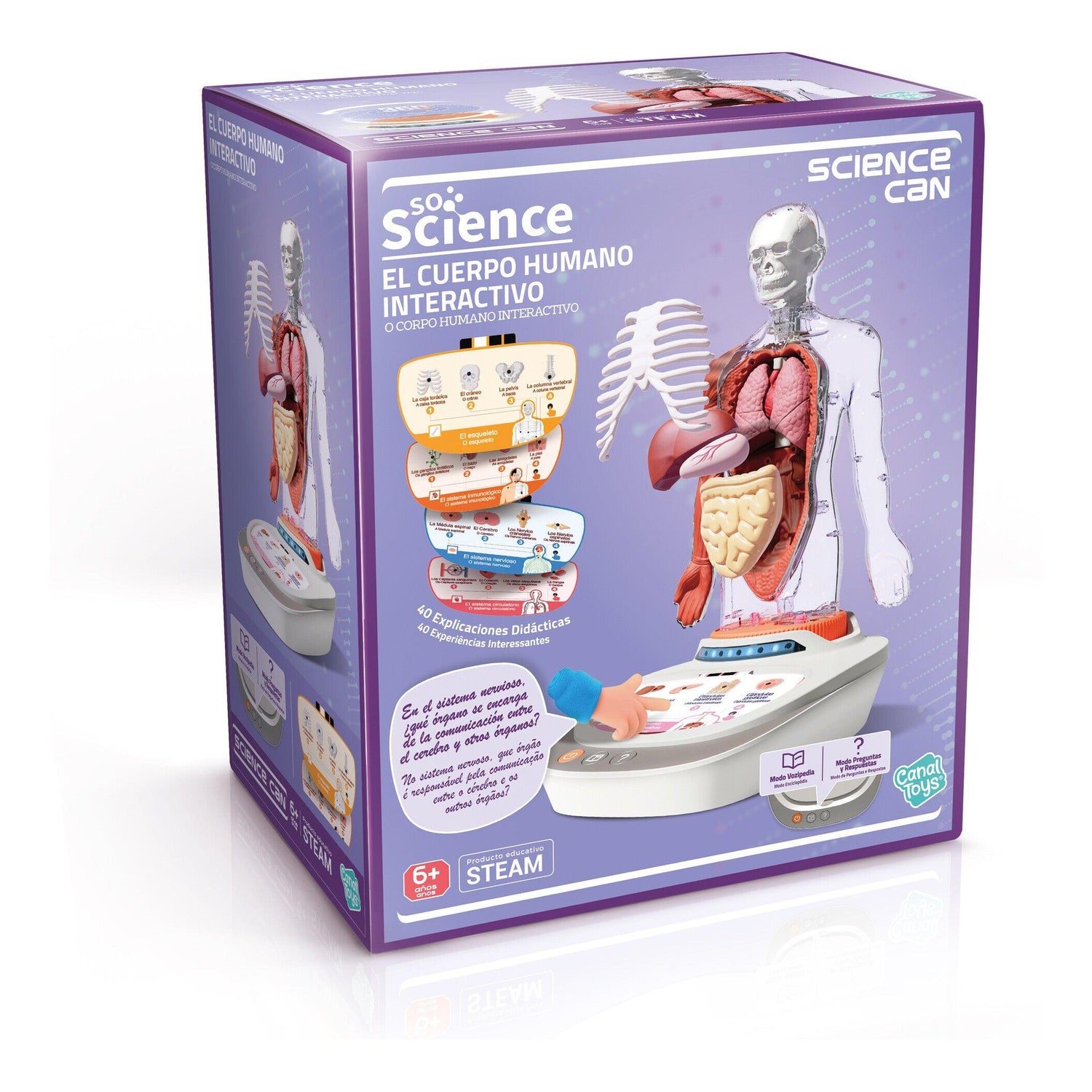 Canal Toys - Corpo Humano: Vozpedia