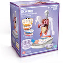 Canal Toys - Corpo Humano: Vozpedia