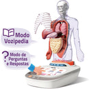 Canal Toys - Corpo Humano: Vozpedia