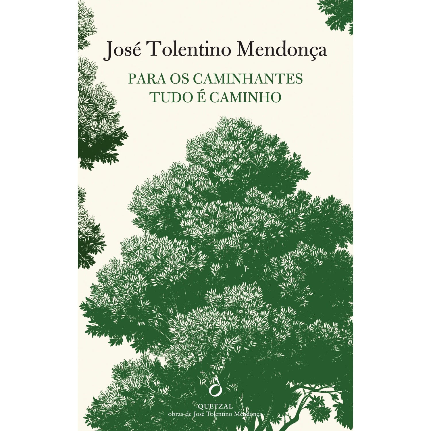 Para Os Caminhantes Tudo É Caminho de José Tolentino Mendonça
