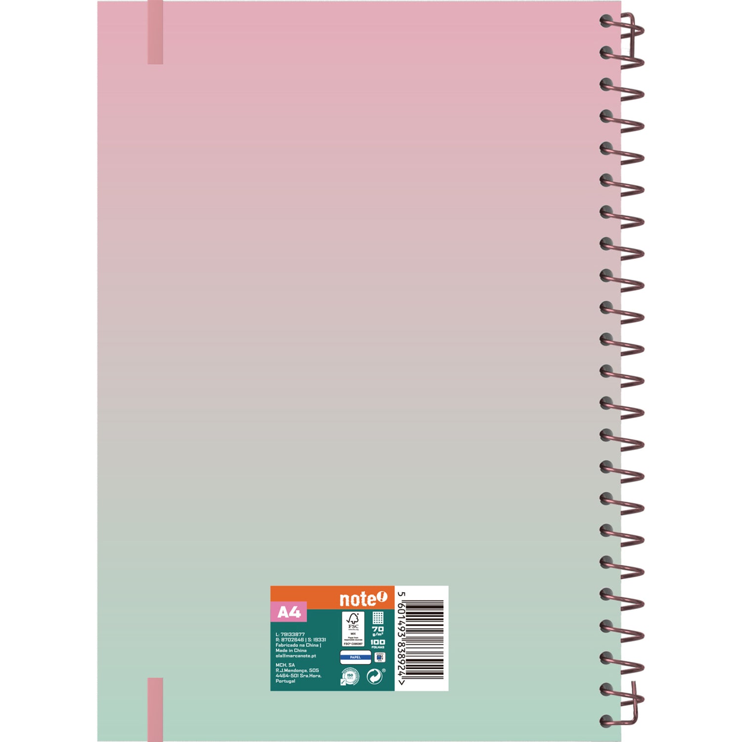 Caderno Esp Formato A4 Pp Q 100 F 70 G Iris