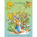 Pedrito Coelho - A História Das Quatro Estações de Beatrix Potter