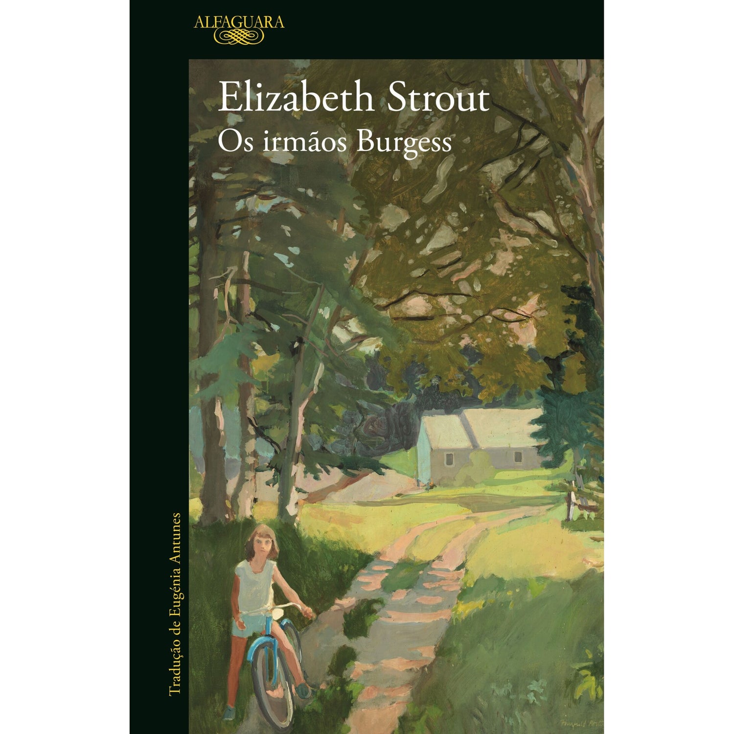 Os Irmãos Burgess de Elizabeth Strout