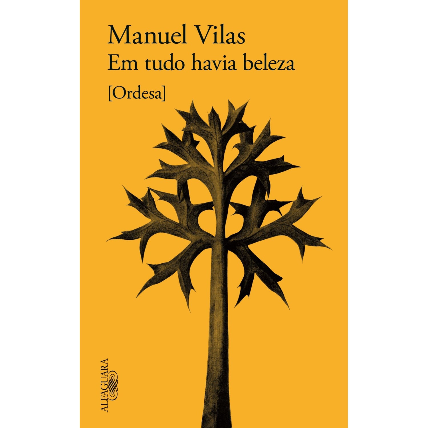 Em Tudo Havia Beleza de Manuel Vilas