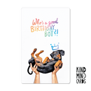 Postal - Who's A Good Birthday Boy?!