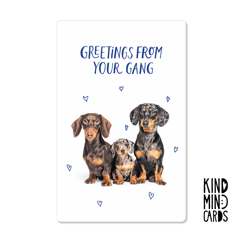 Postal - Greetings From Your Gang