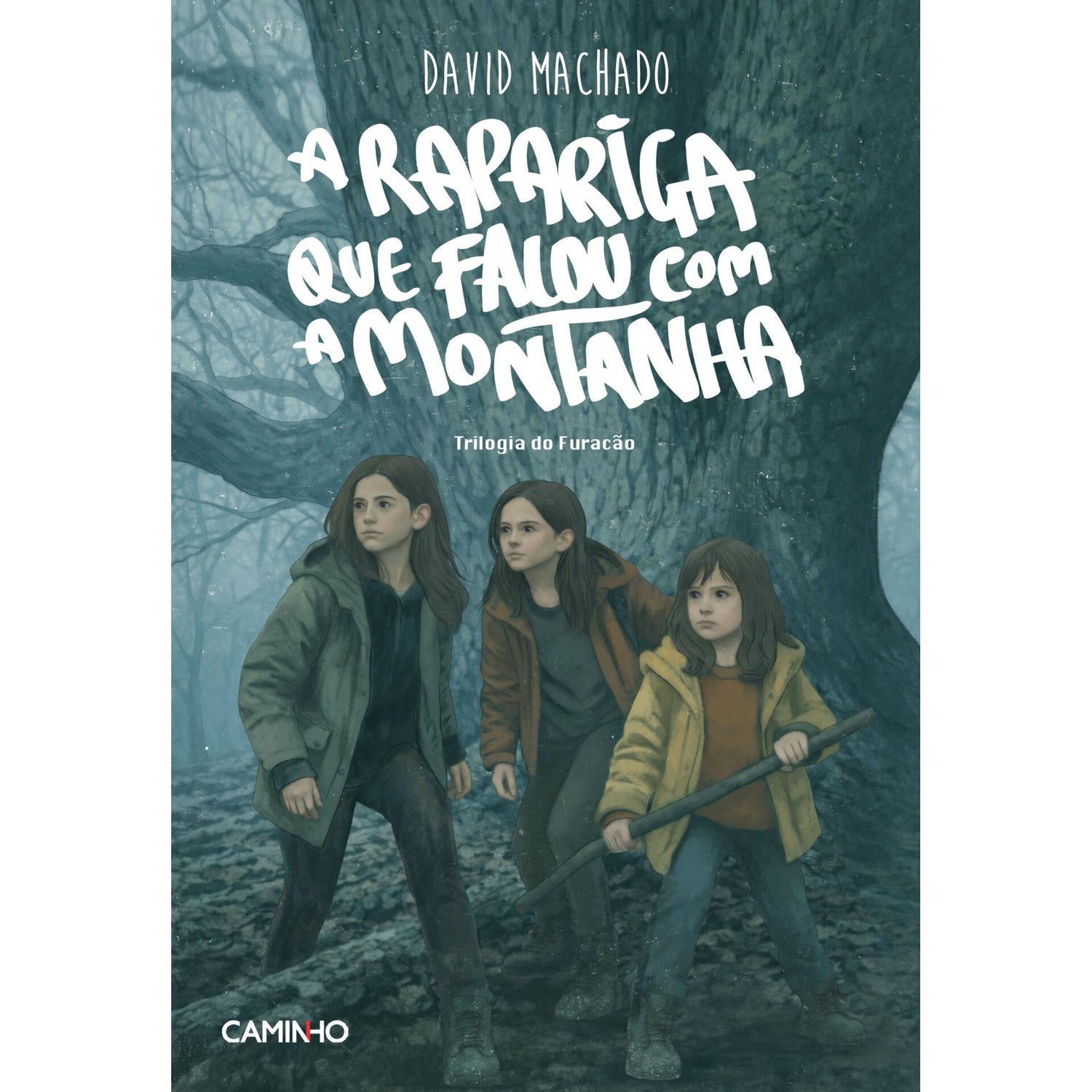 A Rapariga Que Falou Com A Montanha de David Machado