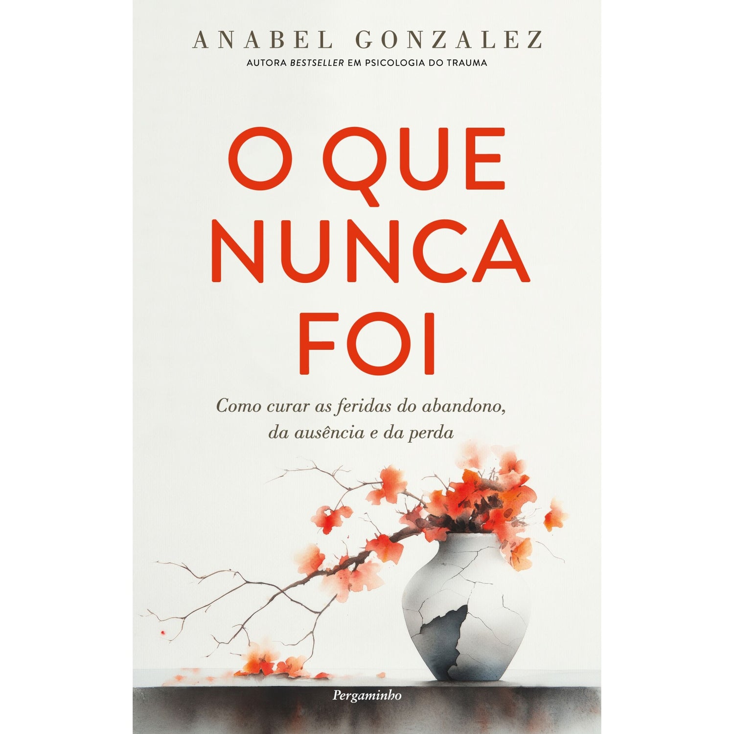 O Que Nunca Foi de Anabel Gonzalez