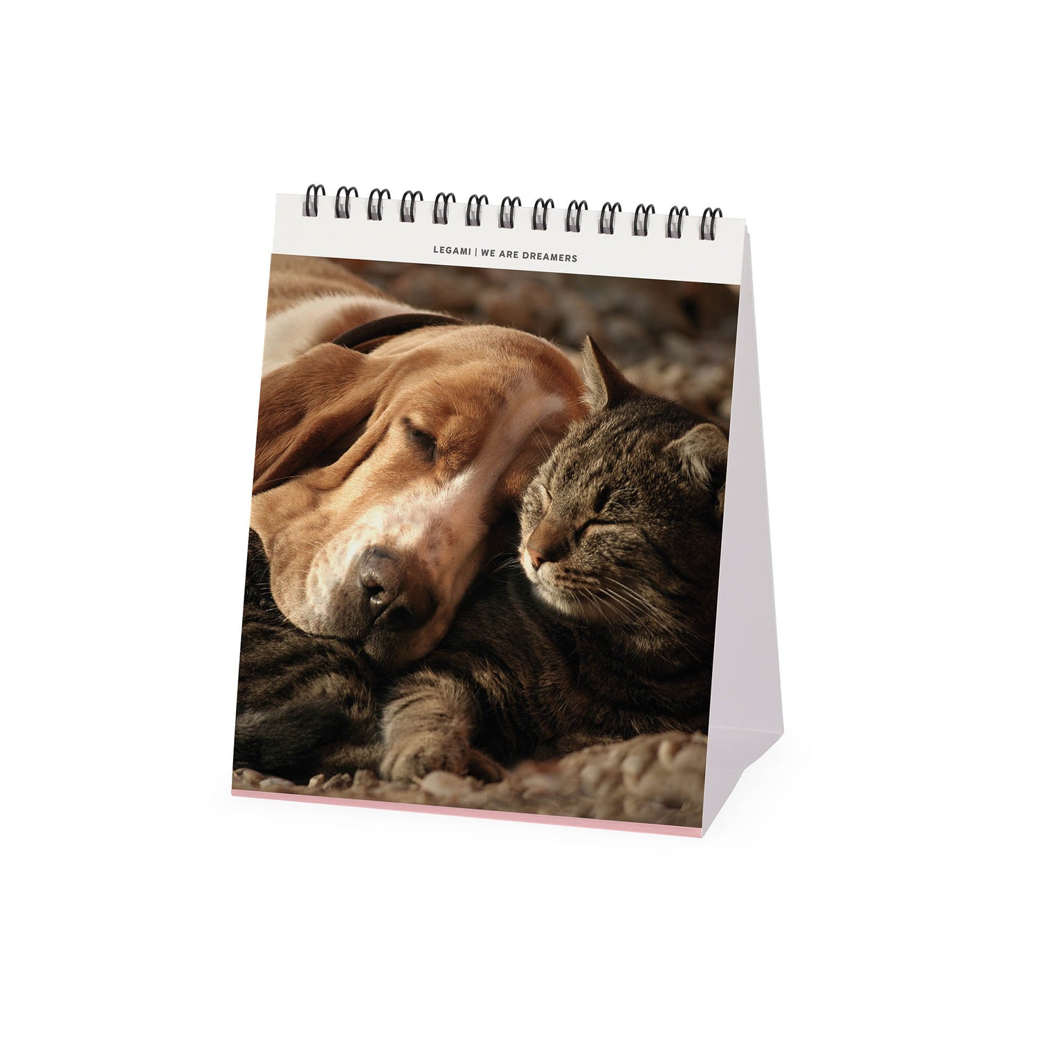 Calendário Secretária 2027 -Best Friends