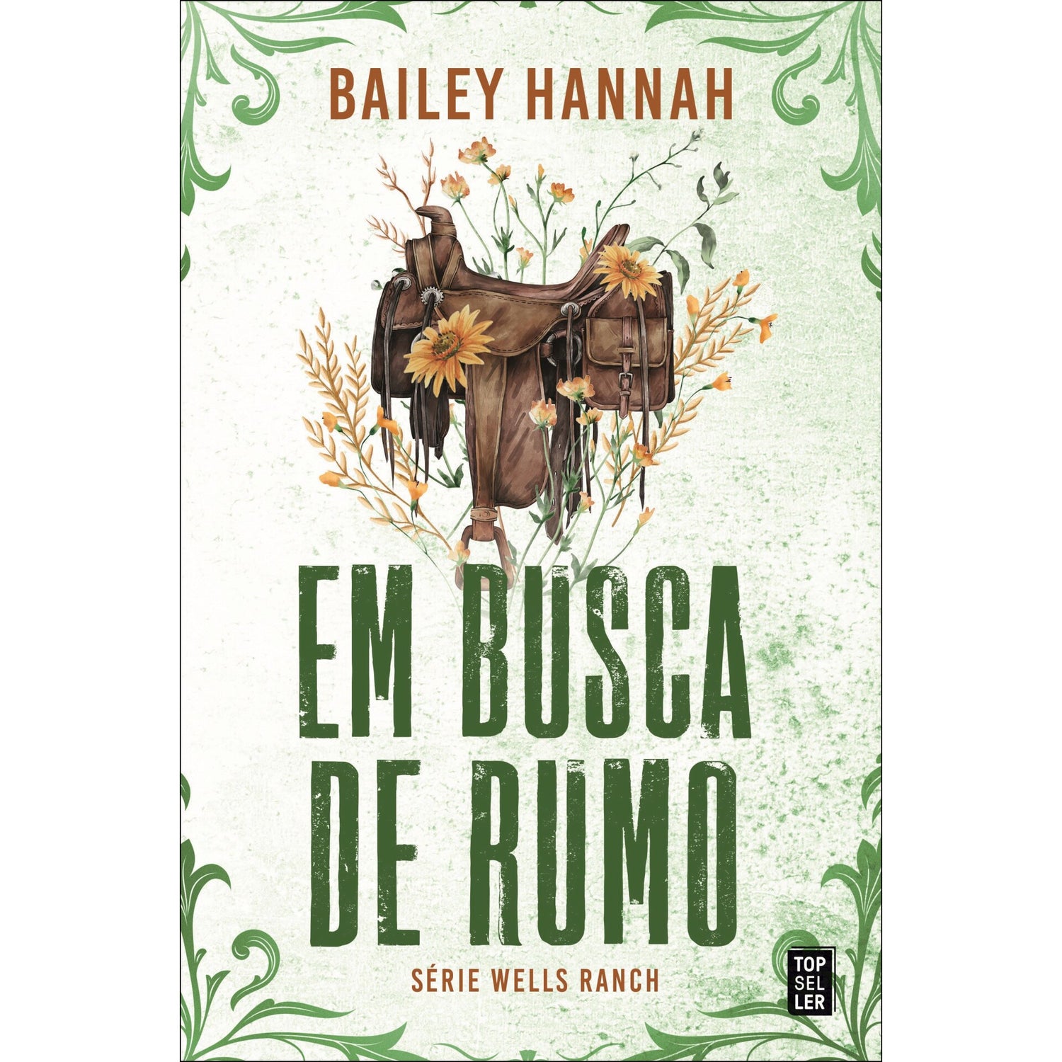 Em Busca De Rumo de Bailey Hannah