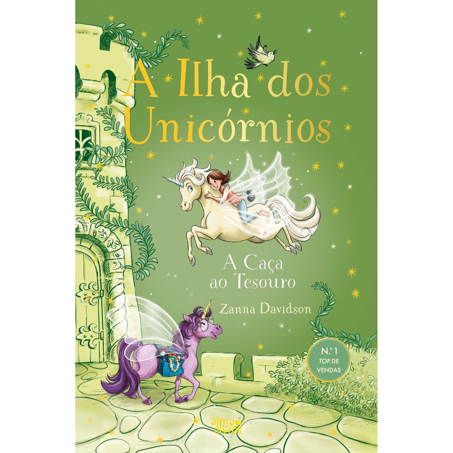 A Ilha Dos Unicórnios N.º 8 - A Caça Ao Tesouro de Zanna Davidson